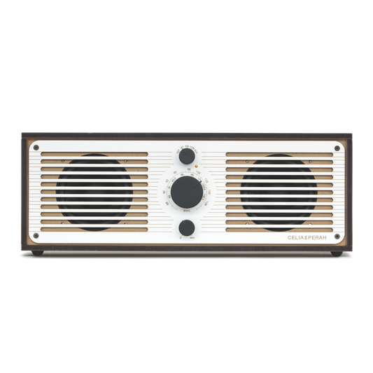 R2 自組藍牙收音機